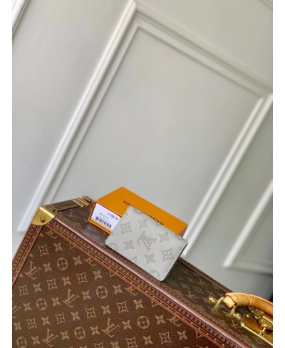 LOUIS VUITTON Pocket Organizer