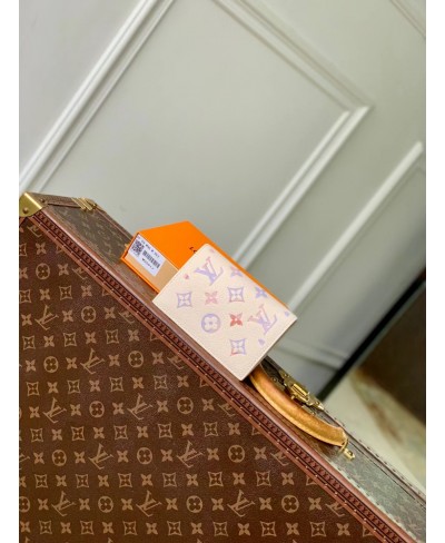 LOUIS VUITTON Passport Cover
