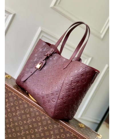 LOUIS VUITTON All In One MM