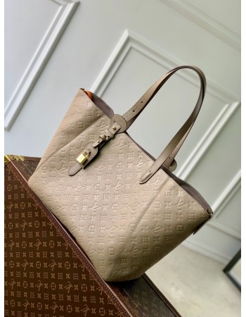 Borsa All In One MM LOUIS VUITTON