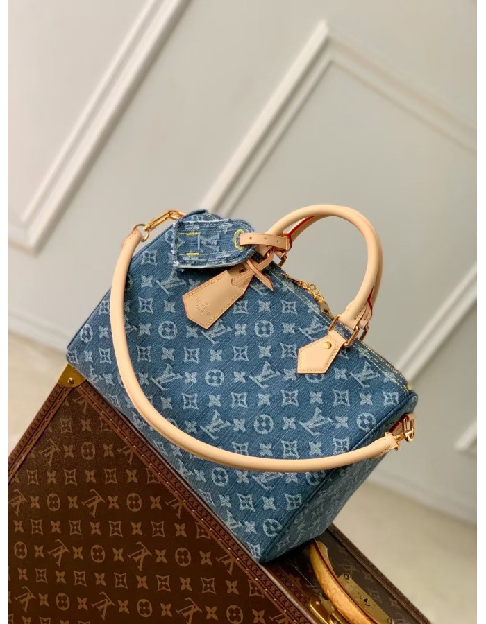 Speedy Soft 30 LOUIS VUITTON