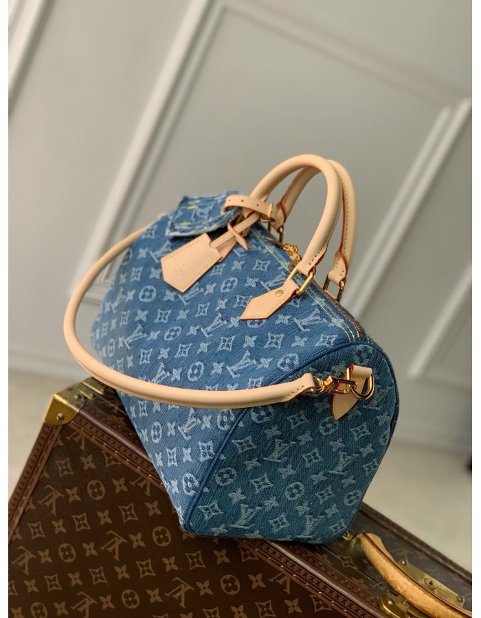 Speedy Soft 30 LOUIS VUITTON