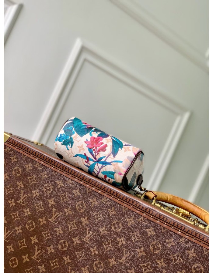 Nano Speedy LOUIS VUITTON