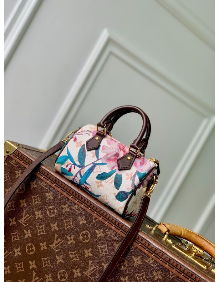 Nano Speedy LOUIS VUITTON