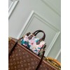 Nano Speedy LOUIS VUITTON