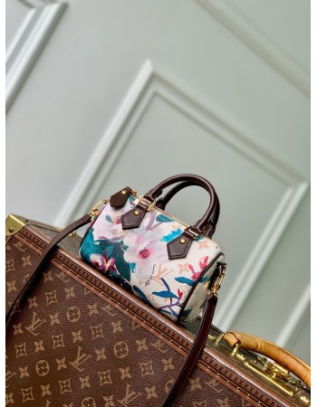 Nano Speedy LOUIS VUITTON