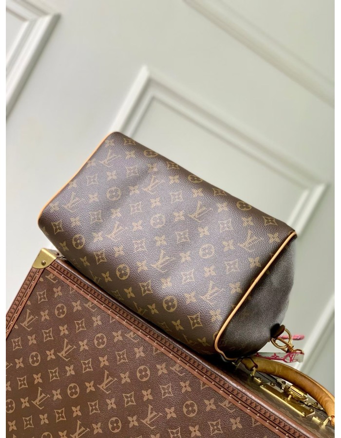 Speedy 30 Soft LOUIS VUITTON