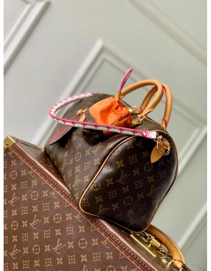 Speedy 30 Soft LOUIS VUITTON