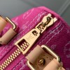 Nano Speedy LOUIS VUITTON