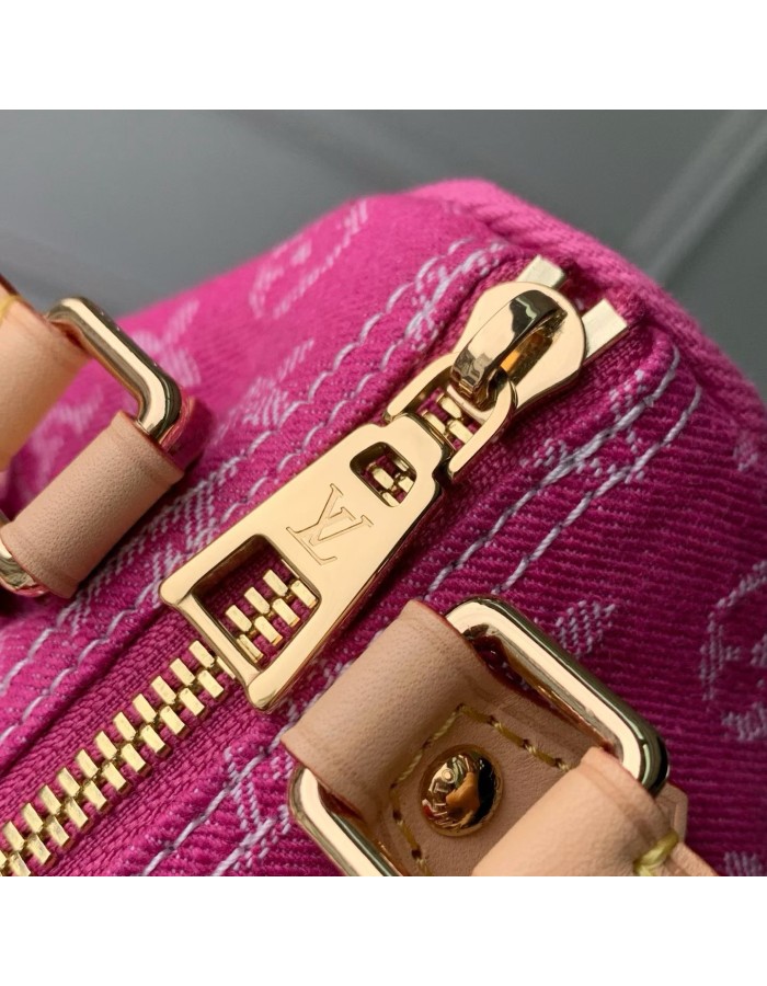Nano Speedy LOUIS VUITTON