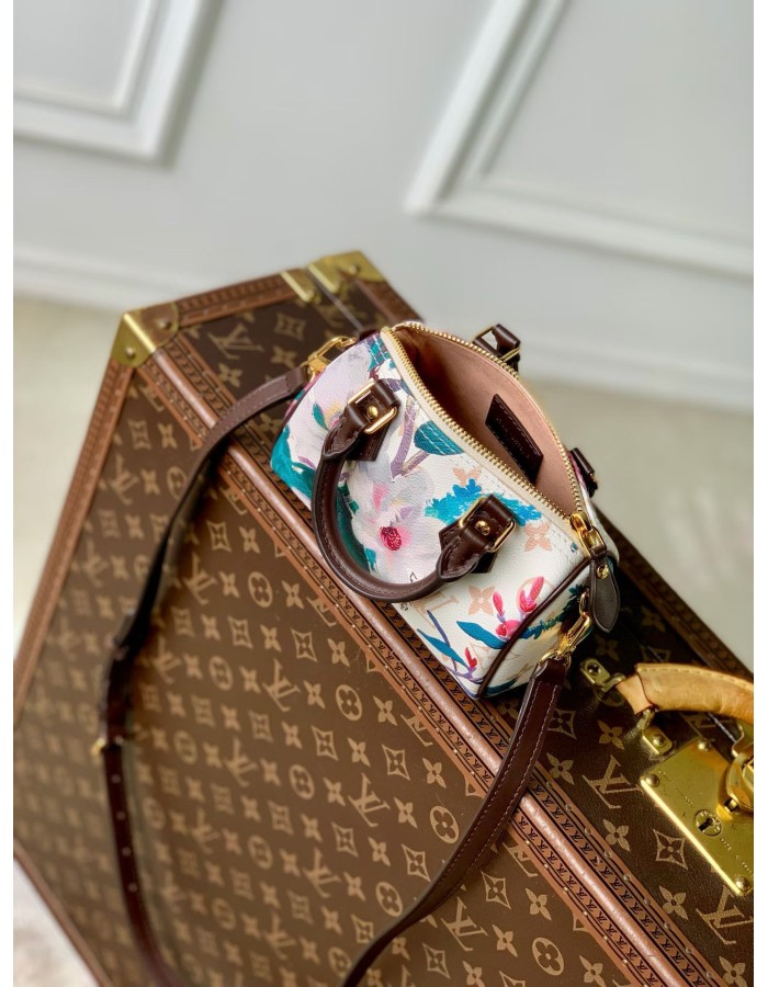 Nano Speedy LOUIS VUITTON