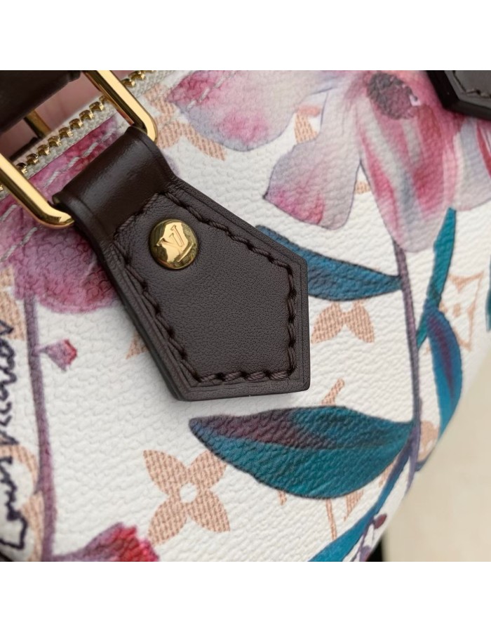 Nano Speedy LOUIS VUITTON