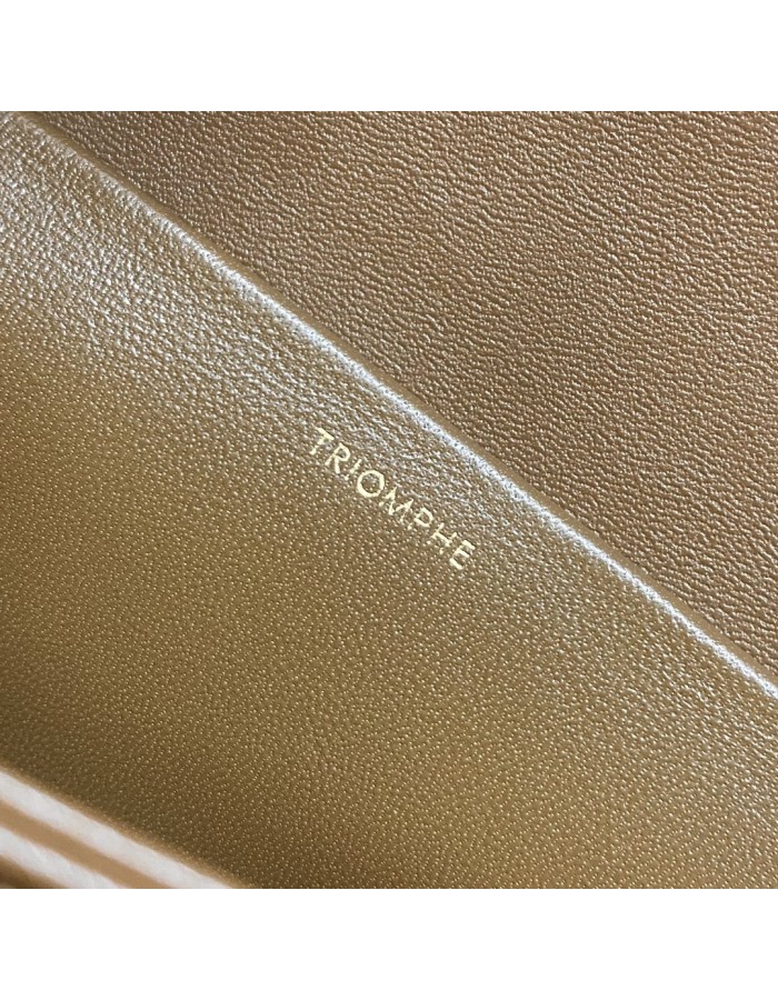Borsa Triomphe Classique in pelle di vitello lucida CELINE
