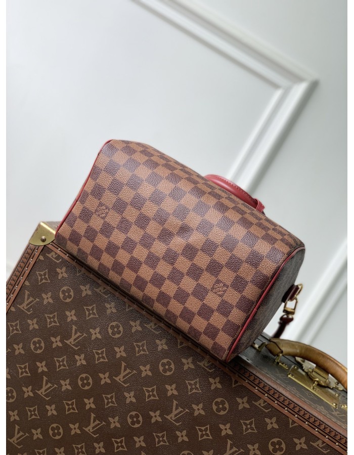 Speedy Soft 25 LOUIS VUITTON