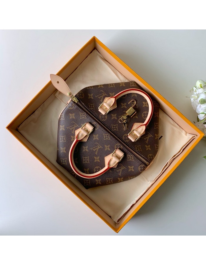 Speedy Bandoulière 25 LOUIS VUITTON