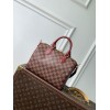Speedy Soft 25 LOUIS VUITTON