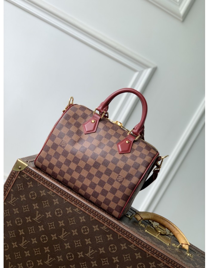 Speedy Soft 25 LOUIS VUITTON