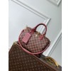 Speedy Soft 25 LOUIS VUITTON