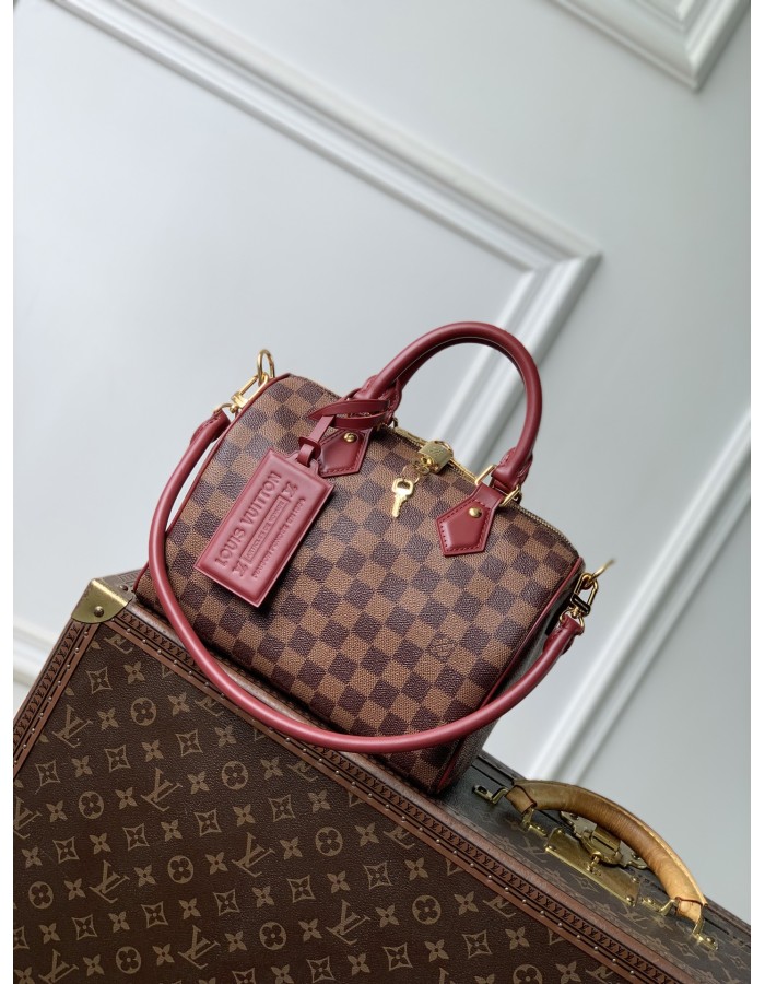 Speedy Soft 25 LOUIS VUITTON