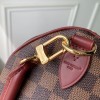 Speedy Soft 25 LOUIS VUITTON