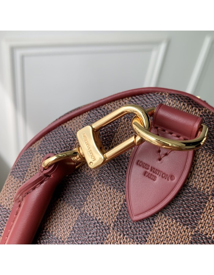 Speedy Soft 25 LOUIS VUITTON