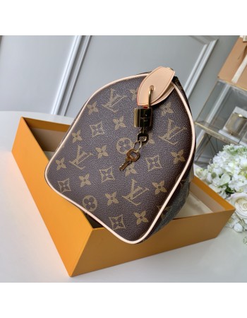 Speedy Bandoulière 25 LOUIS VUITTON