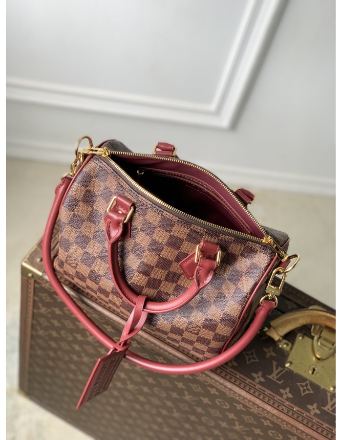 Speedy Soft 25 LOUIS VUITTON
