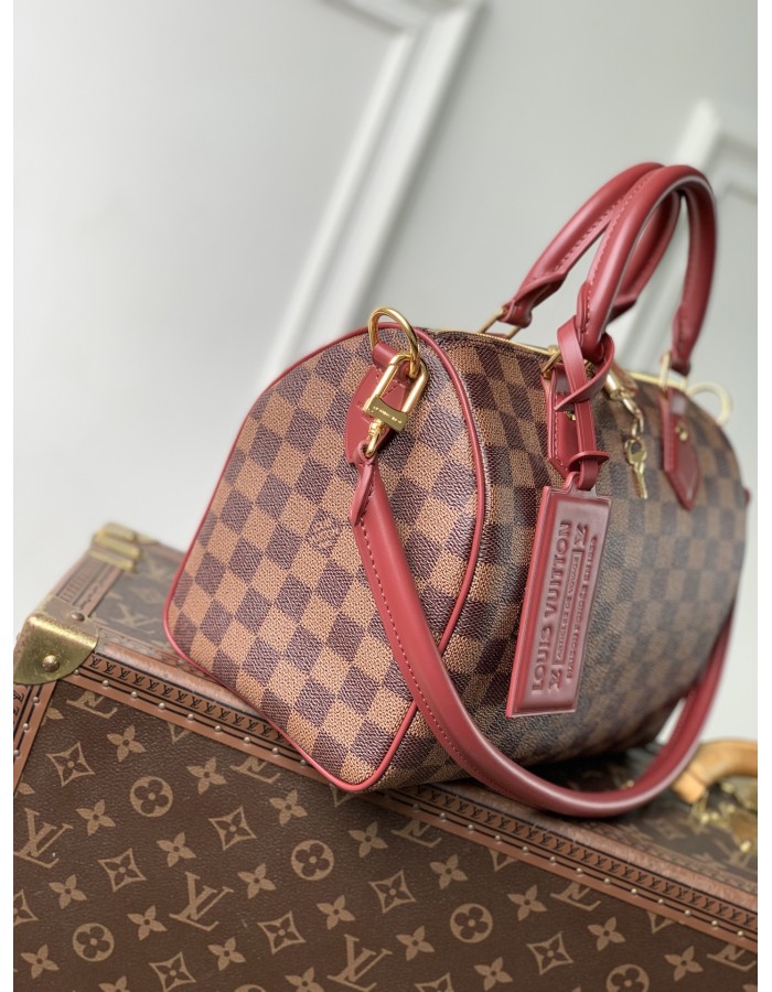 Speedy Soft 25 LOUIS VUITTON