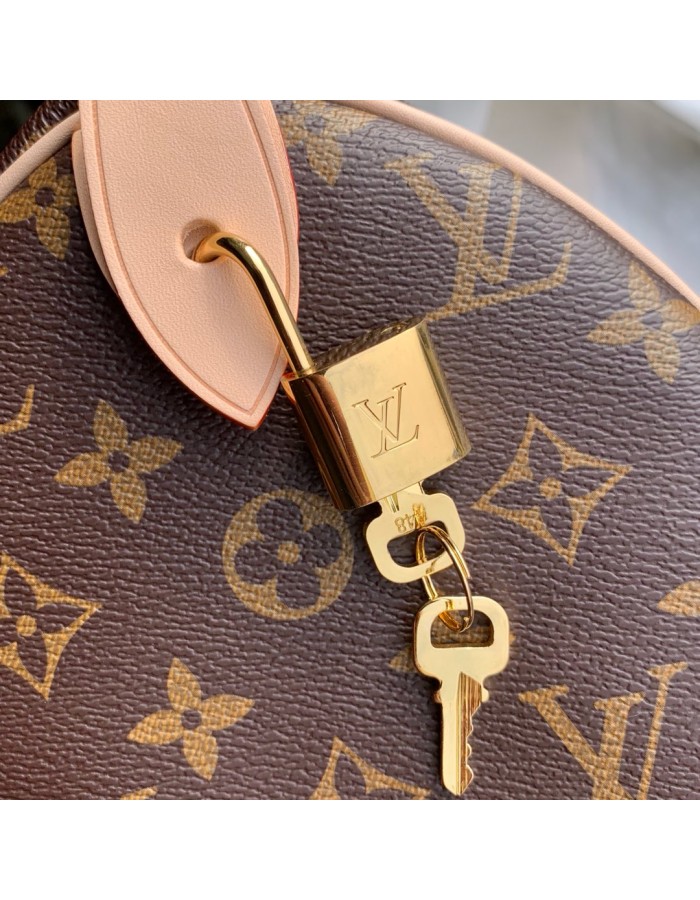 Speedy Bandoulière 25 LOUIS VUITTON