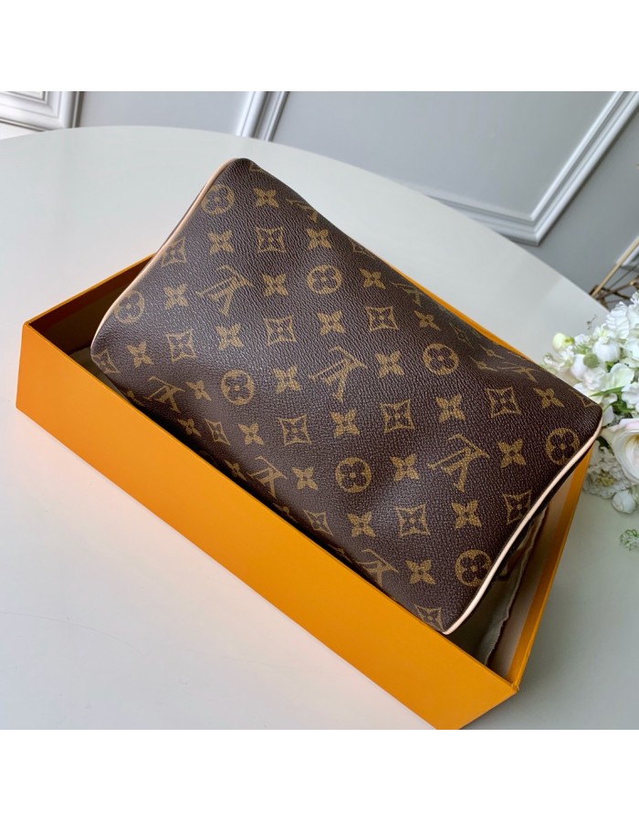 Speedy Bandoulière 25 LOUIS VUITTON