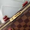 Speedy Soft 25 LOUIS VUITTON